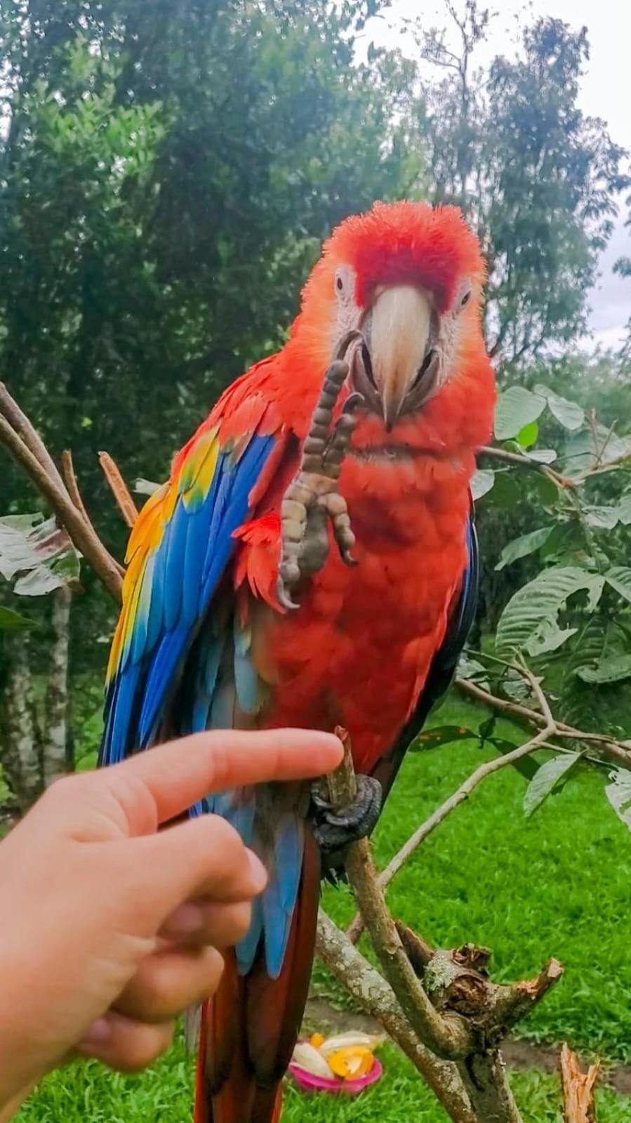 Отель La Quinta De Andres San Isidro  Экстерьер фото