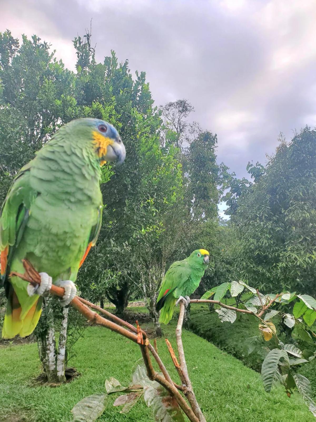Отель La Quinta De Andres San Isidro  Экстерьер фото