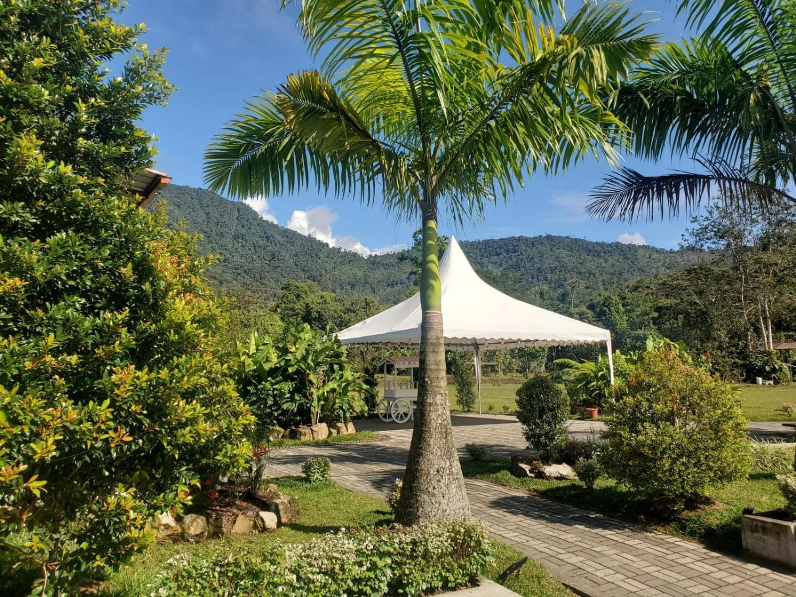 Отель La Quinta De Andres San Isidro  Экстерьер фото