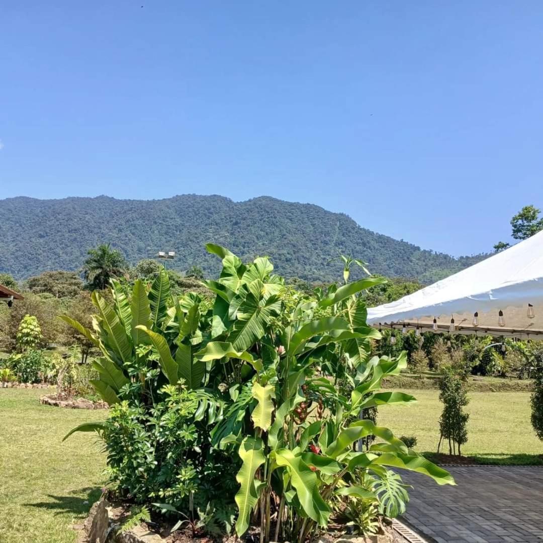 Отель La Quinta De Andres San Isidro  Экстерьер фото
