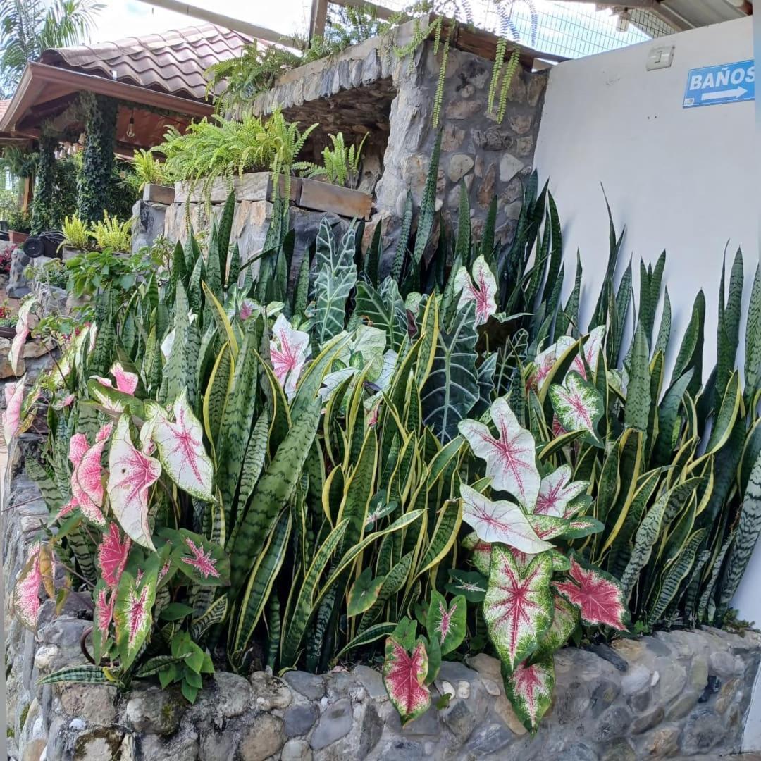 Отель La Quinta De Andres San Isidro  Экстерьер фото